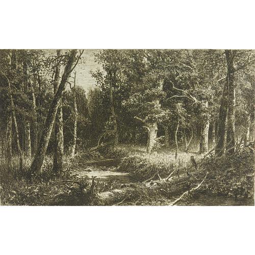 Офорт И.И.Шишкина «Чернолесье» 1885