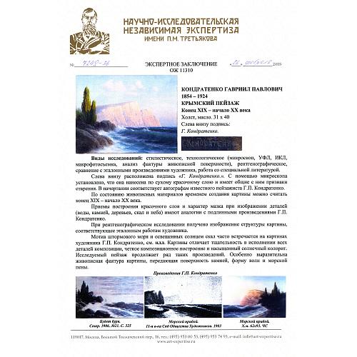 Экспертное заключение НИНЭ им. П.М. Третьякова