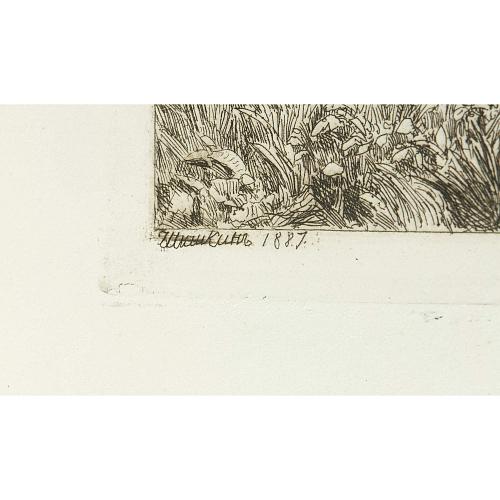 Офорт И.И.Шишкина «Три дуба» 1887