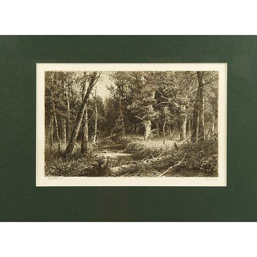 Офорт И.И.Шишкина «Чернолесье» 1885